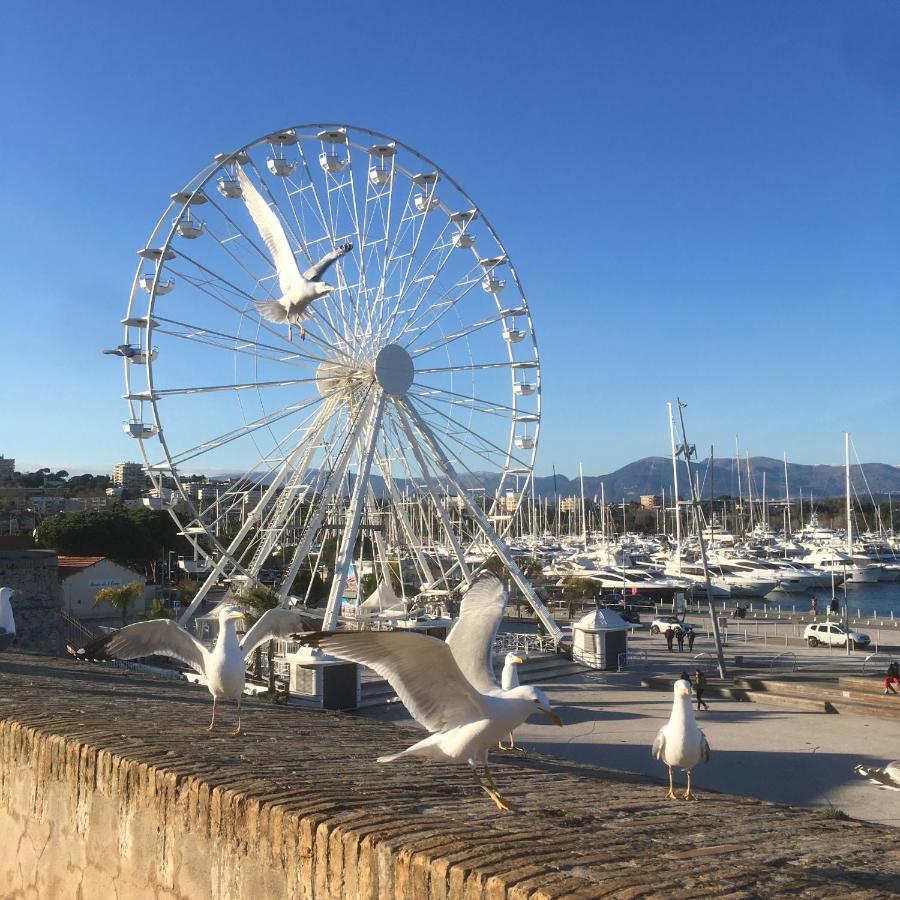 Tortue De Mer Antibes Exteriör bild